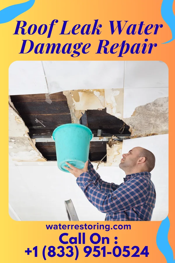Roof Leak Water Damage Repair in Tira, TX
